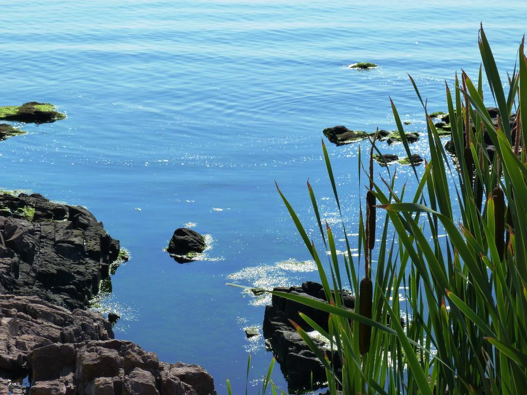 Sea View Apartments Sozopol Exteriér fotografie
