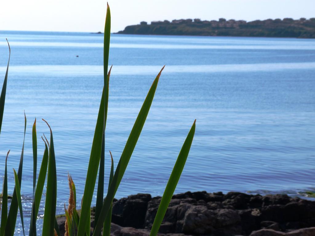 Sea View Apartments Sozopol Pokoj fotografie