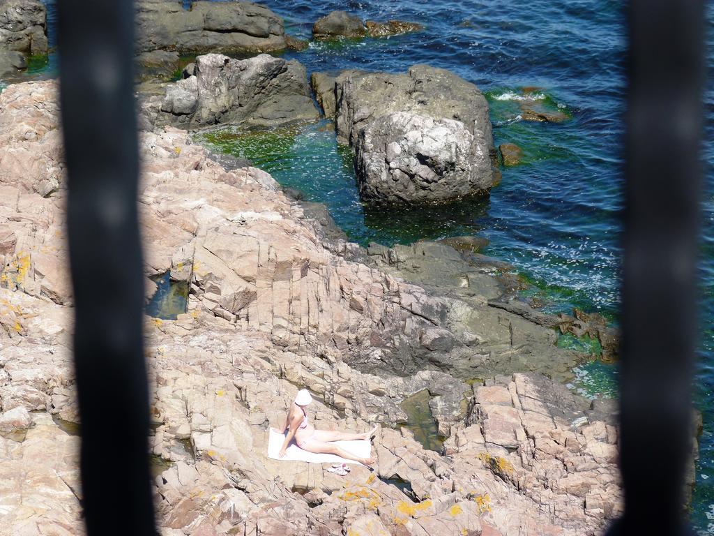 Sea View Apartments Sozopol Pokoj fotografie